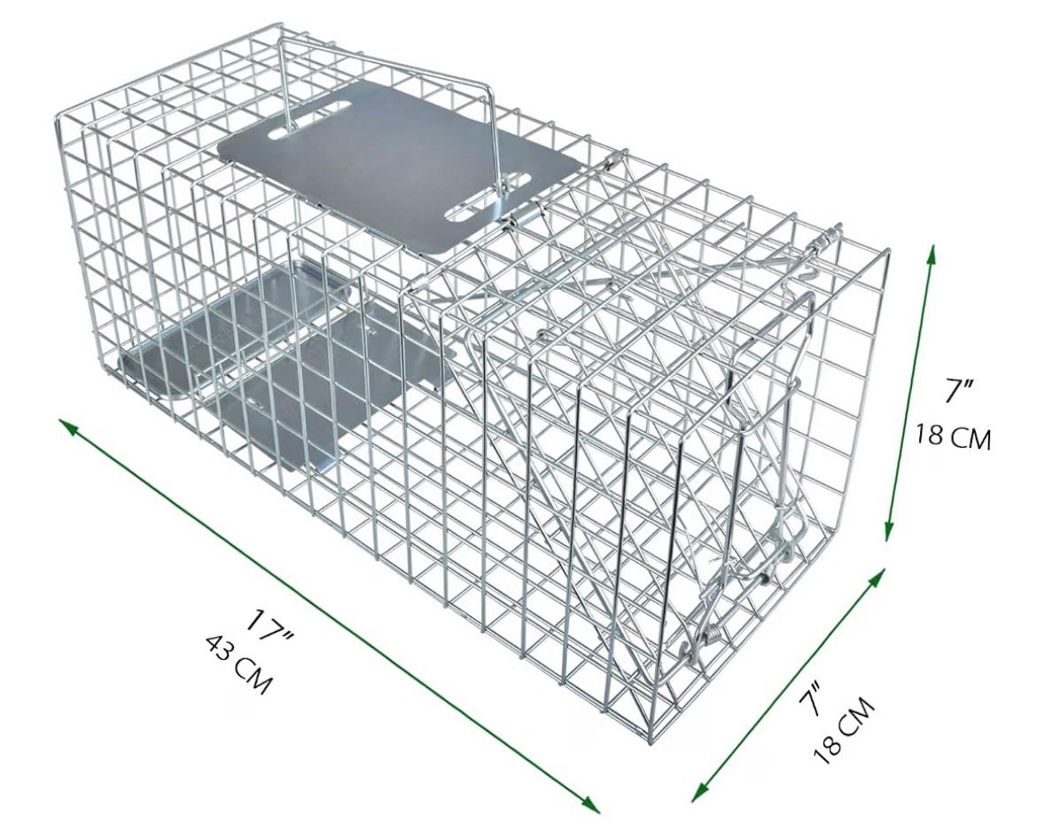 Size of the animal trap 