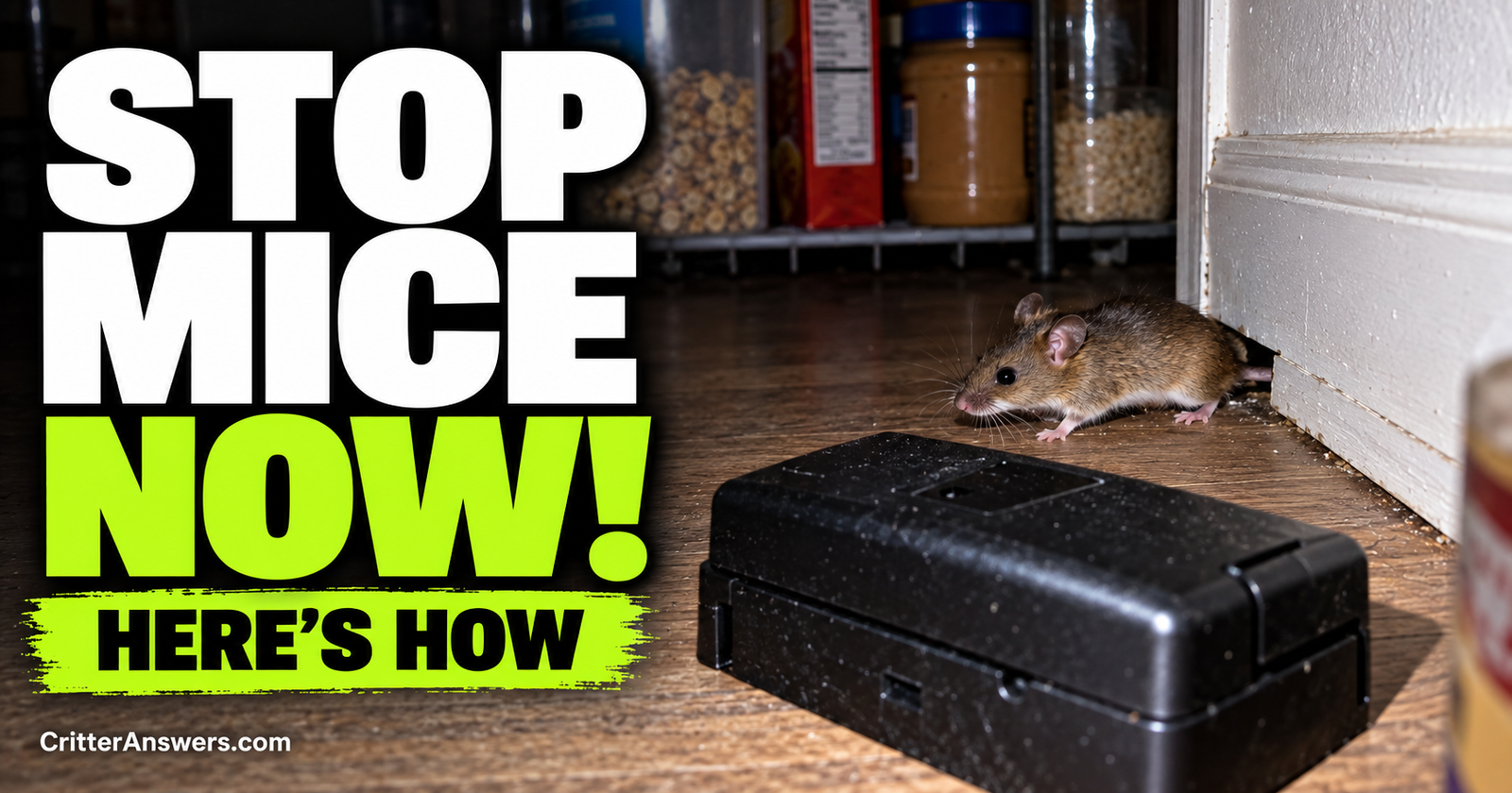 How to Get Rid of Mice in Your House for Good